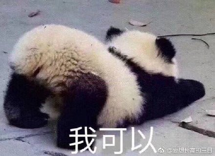 揭秘劉伯溫特一肖與四不像的神秘面紗——探尋背后的故事與真相，劉伯溫特一肖與四不像背后的故事與真相揭秘