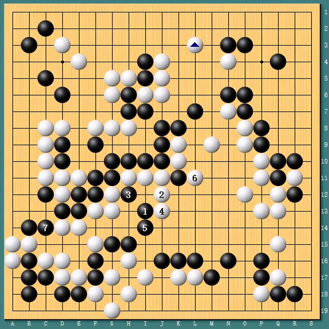 王中王四肖一碼資料論壇，探索與解析，王中王四肖一碼資料論壇，深度探索與解析