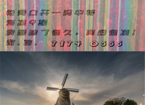 王中王四肖三期必出一期，揭秘彩票背后的秘密策略與技巧，揭秘彩票策略與技巧，王中王四肖三期必出一期之道