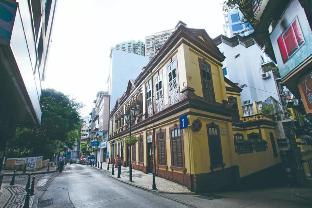 新澳門一肖單像——揭秘生肖彩票的奧秘，揭秘新澳門生肖彩票奧秘，一肖單像探秘