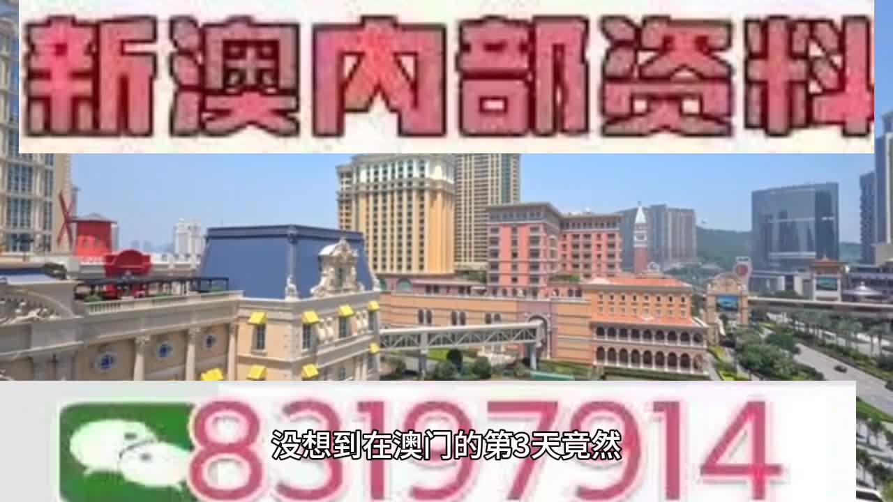 新澳門今晚必開一肖一特，探索生肖與特碼的魅力，澳門生肖特碼探索，今晚必開一肖一特之魅力
