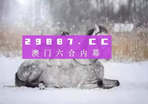 澳門正版精準(zhǔn)資料，探索未來(lái)的趨勢(shì)與機(jī)遇（2024年展望），澳門正版精準(zhǔn)資料揭秘，未來(lái)趨勢(shì)與機(jī)遇展望（2024年）