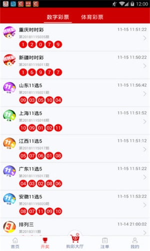 一碼一肖，揭秘背后的秘密與探索其獨特魅力，揭秘一碼一肖背后的秘密與獨特魅力探索