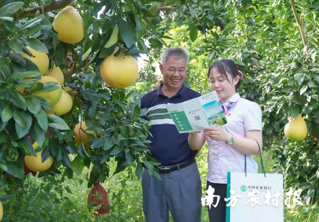 資料大全正版資料2025，一站式獲取所有你需要的信息，資料大全正版資料2025，一站式獲取所有信息總匯