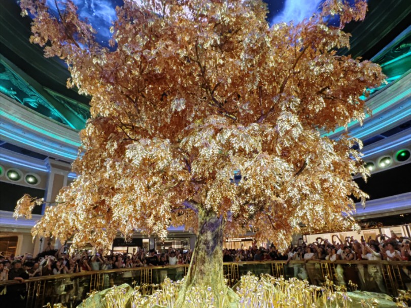 澳門搖錢樹開獎(jiǎng)最快——探索彩票世界的神秘魅力，澳門搖錢樹彩票開獎(jiǎng)揭秘，探索神秘彩票世界的魅力