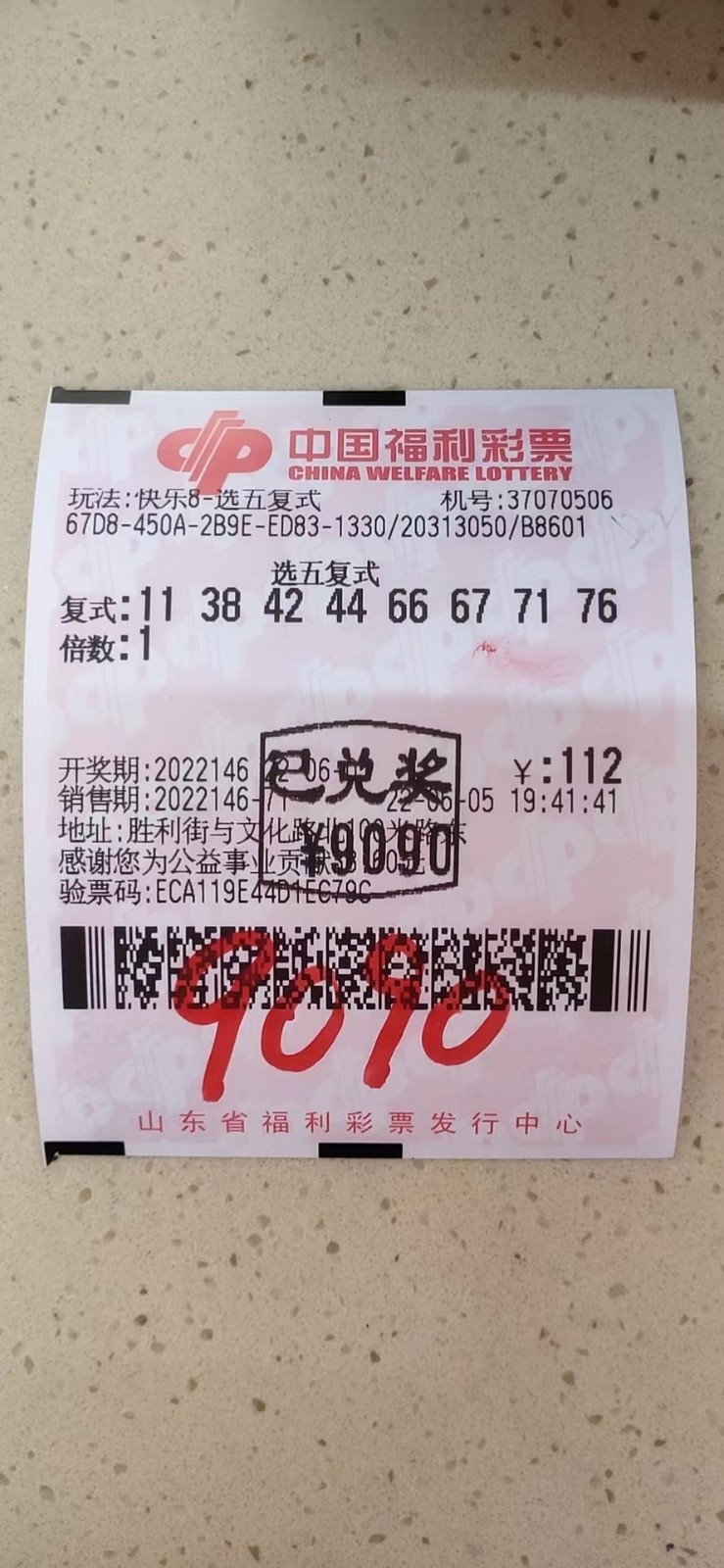 揭秘002期王中王平特一肖，背后的故事與奧秘，揭秘王中王平特一肖背后的故事與奧秘（第002期）