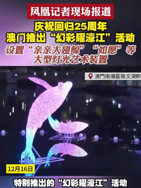 新澳門六開獎(jiǎng)結(jié)果查詢濠江論壇——快速獲取開獎(jiǎng)信息的首選平臺(tái)，澳門六開獎(jiǎng)結(jié)果查詢首選平臺(tái)，濠江論壇快速更新開獎(jiǎng)信息