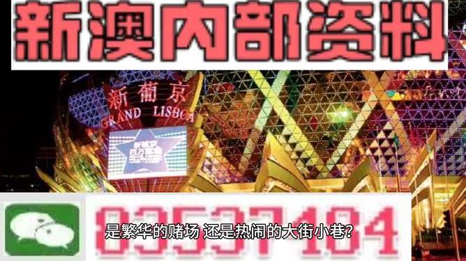 新澳門(mén)精準(zhǔn)資料大全管家婆料，探索與解析，澳門(mén)精準(zhǔn)資料大全解析，探索管家婆料內(nèi)幕