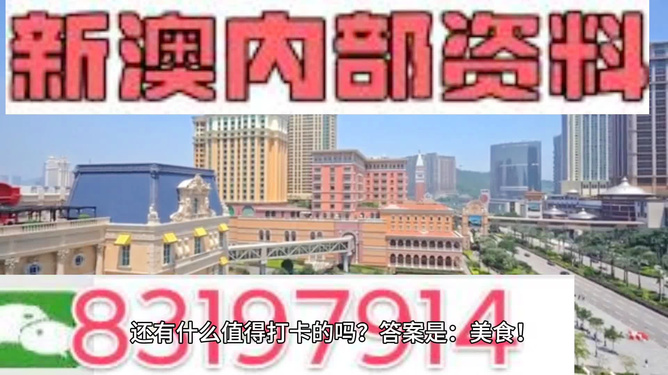澳門彩天天免費精準資料，探索與解析，澳門彩天天免費精準資料解析與探索