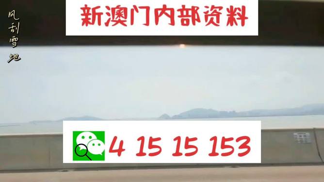 新澳2025最新資料生肖，深度解析與預(yù)測展望，新澳2025最新生肖資料深度解析與未來預(yù)測展望