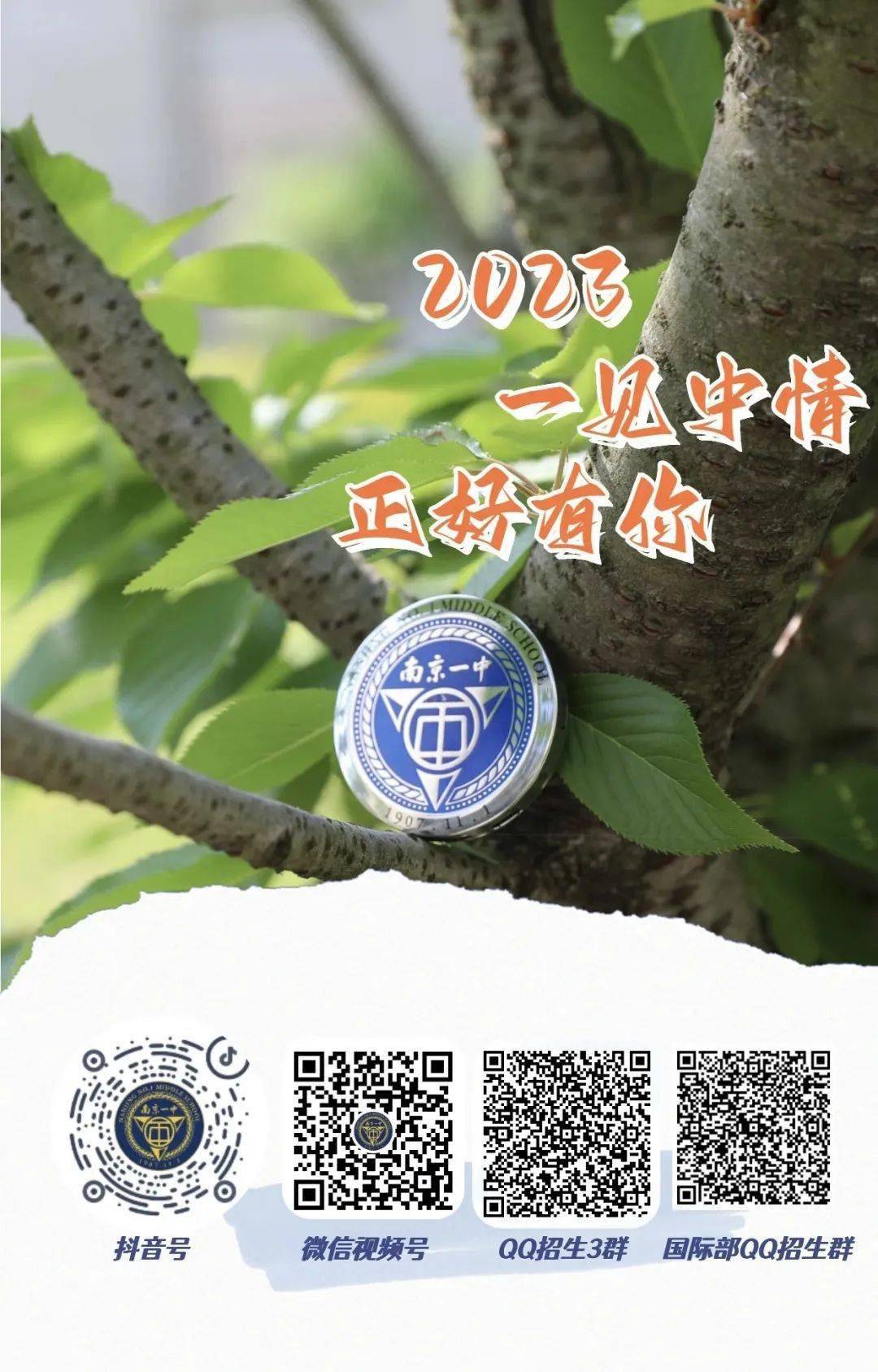 一碼一肖一特一中，揭秘背后的秘密與奧秘，揭秘一碼一肖一特一中背后的秘密奧秘