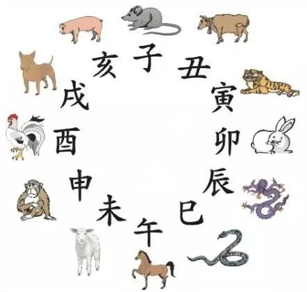 澳門天天彩期期精準(zhǔn)十二生肖預(yù)測(cè)——揭秘彩票秘密，澳門天天彩期期精準(zhǔn)十二生肖預(yù)測(cè)，揭秘彩票秘密之獨(dú)家解析