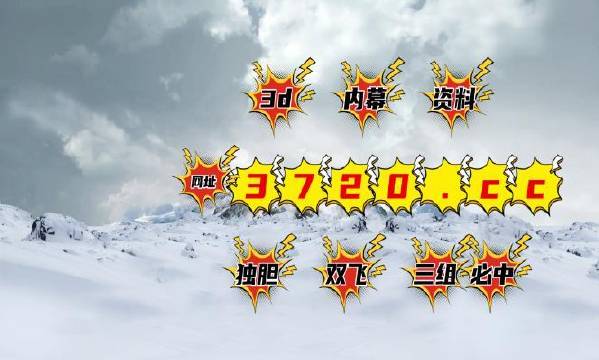 揭秘4887王中王精準(zhǔn)資料，全方位解讀，讓你贏在起跑線，揭秘王中王精準(zhǔn)資料，全方位解讀助你贏在起跑線