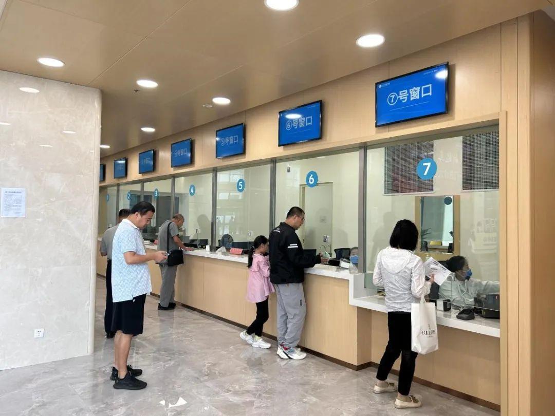 新門內(nèi)部資料免費(fèi)下載——探索與揭秘，新門內(nèi)部資料揭秘，免費(fèi)下載與探索之旅