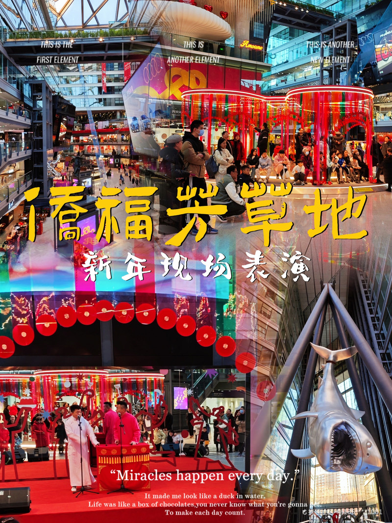 最新揭秘，2024新澳芳草地全方位資料詳解，揭秘2024新澳芳草地全方位資料，最新詳解